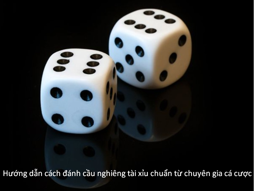 Hướng dẫn cách đánh cầu nghiêng tài xỉu chuẩn từ chuyên gia cá cược