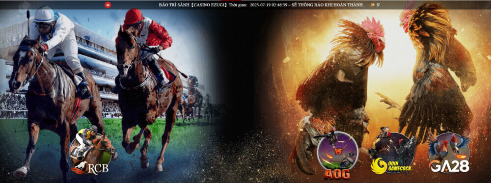 SV66 - Trang Chủ Nhà Cái SV66.COM Uy Tín 2025 17 Đá gà SV66